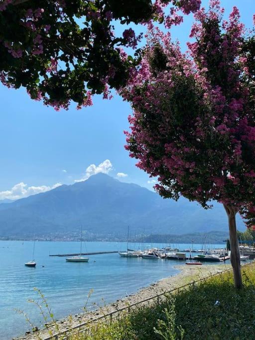 Lago-Apartment Midy, Sfeervol, Zwembad, Airco Domaso Εξωτερικό φωτογραφία